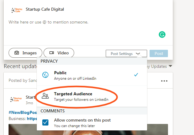 LinkedIn Targeted Audience Feature